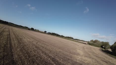 FPV-drone-flight-across-agricultural-crop-farmland-towards-countryside-tree-hedge-UK