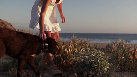 Slow-motion-ascending-shot-of-a-young-woman-dressed-in-a-white-dress-stroking-through-the-fur-of-her-dog-at-the-dunes-on-the-beach-in-the-background-the-beautiful-sea-at-the-golden-hour