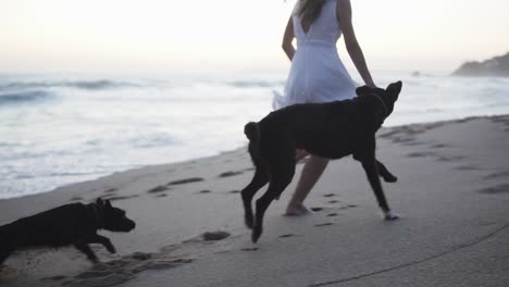 Slow-motion-handheld-shot-of-a-young-woman-dressed-in-a-white-dress-playing-with-her-dogs-on-the-beach-in-front-of-the-sea-with-calm-waves-in-the-evening