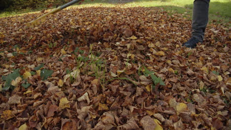 Herbstputz-Im-Garten.-Blätter-Rechen