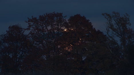 Dramatischer-Niedriger-Mondaufgang-Durch-Ferne-Bäume-Zeitraffer-Starke-Luftstörung