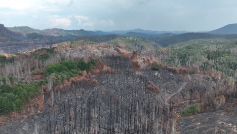 Luftaufnahme-Des-Verbrannten-Waldes-Auf-Berghügeln,-Waldbrandfolgen,-Drohnenschuss