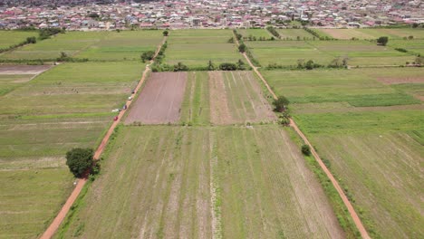 Aerial-Shot-of-Huge-Plantation-with-Crops-in-Accra-Ghana