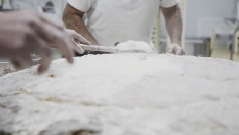 Close-up-shot-of-a-dough-with-plenty-of-flour-which-is-evenly-distributed-with-a-brush-by-a-baker-in-the-background-a-baker-with-a-spice-shovel