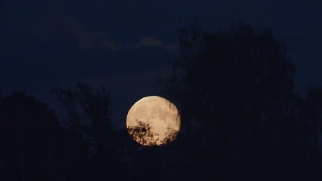 Dramatic-low-moon-rise-through-thin-cloud-layer-and-trees-time-lapse-strong-air-disturbance