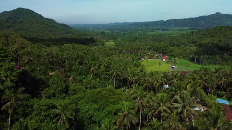 Along-with-being-surrounded-by-a-hill-that-is-covered-in-green-vegetation,-there-are-numerous-buildings-and-houses-that-are-encircled-by-a-dense-canopy-of-palm-palms