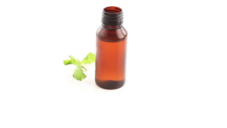 mint-extract-oil-in-a-yellow-bottle-with-single-bunch-of-fresh-mint-leaves-rotating-360-degree-side-shot
