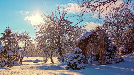 Zeitraffer:-Schneebedeckter-Gefrorener-Wald-Mit-Blattlosem-Baum-Im-Sonnenlicht