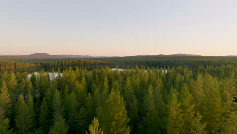 Fliegen-über-Fichtenwald-Und-Ruhigen-See-Im-Schwedischen-Lappland-Im-Sommer