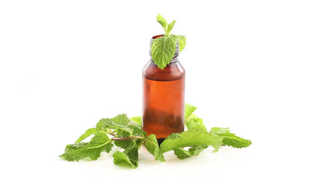mint-extract-oil-in-a-yellow-bottle-with-fresh-mint-leaves-rotating-360-degree-side-shot