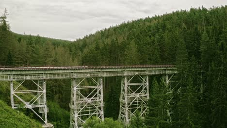 Aerial-view-of-the-Ziemes-Valley-Bridge-on-an-overcast-day