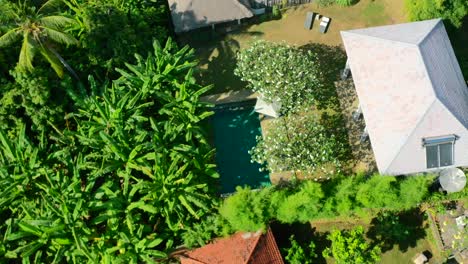 aerial-top-down-circling-a-tropical-back-yard-pool-in-Lovina-Bali-Indonesia-on-sunny-summer-day