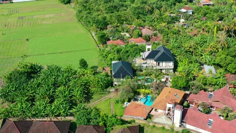 Antena-Aérea-De-Hermosas-Villas-Residenciales-En-Lovina-Bali-Indonesia-Rodeadas-De-Vastos-Campos-De-Arroz-Y-Tierras-De-Cultivo-En-Un-Día-Soleado