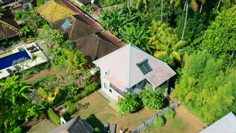 Zoom-Aéreo-Fuera-De-Villas-Residenciales-En-La-Jungla-De-Lovina-En-El-Norte-De-Bali,-Indonesia