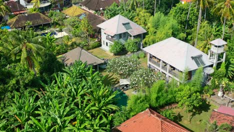 Luftzoom-Aus-Schönen-Wohnhäusern-Im-Dschungel-Von-Lovina-Bali-Indonesien-An-Sonnigen-Sommertagen