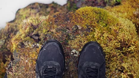 Top-down-shot-of-black-sneakers-standing-on-the-ledge-of-a-valley-surrounded-by-moss-on-the-ground
