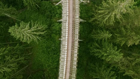 Rising-aerial-shot-over-Ziemes-Valley-Bridge-surrounded-by-a-lush-forest