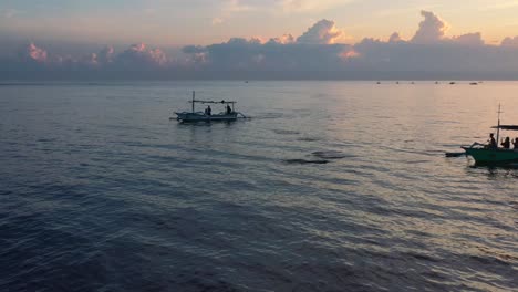 Luftbild-Von-Touristen,-Die-Delfine-Beobachten,-Die-Bei-Sonnenaufgang-In-Lovina-Bali-Indonesien-Die-Oberfläche-Des-Ozeans-Durchbrechen