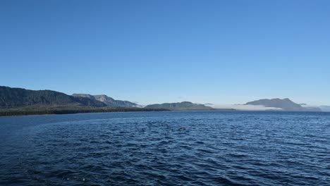 Ballenas-Jorobadas-Emergen-En-Alaska-Cerca-De-La-Bahía-Spasski