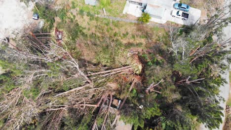 4K-Drone-Video-of-Trees-Downed-by-Hurricane-in-Englewood,-Florida---18