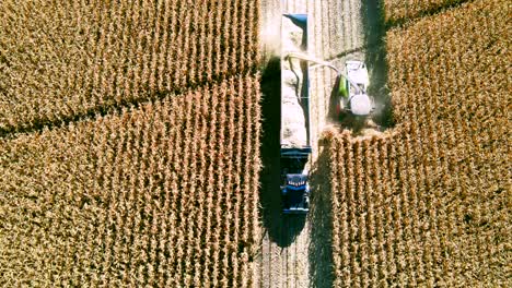 aerial-drone-shot-over-farm-vehicles-gathering-corn-during-harvest-season