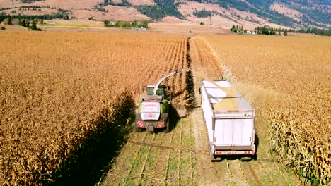 Folgeaufnahme-Von-Landwirtschaftlichen-Fahrzeugen,-Die-Während-Der-Erntezeit-Mais-Sammeln