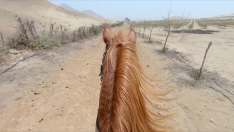 Horse-riding-POV-passing-through-arid-deserted-farmland-path