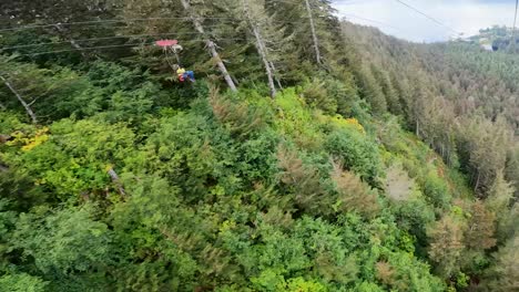 Seilrutsche-über-Altem-Wald-In-Hoonah,-Alaska