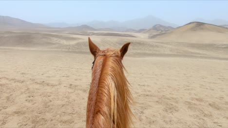 Static-Chestnut-Horse-contemplating-deserted-landscape,-riding-POV