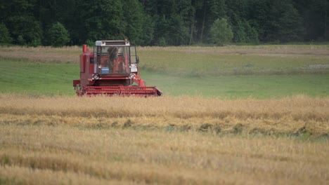 grain-harvesting-season,-food-chain-production-concept,-red-tractor-machine-working-in-the-field-farm