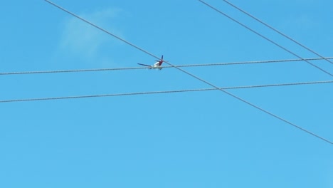 Airplane-flying-in-the-sky-with-electrical-wires-in-the-foreground
