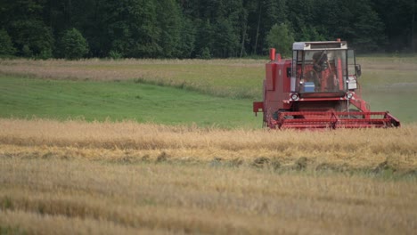 harvesting-season,-red-harvest-machine-tractor-collecting-grain-in-natural-organic-farm-land-field