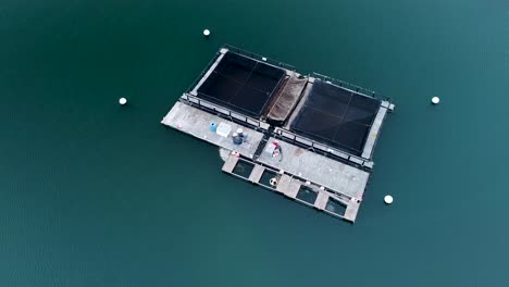 white-sea-bass-hatchery-Carlsbad-Lagoon-Drone-view