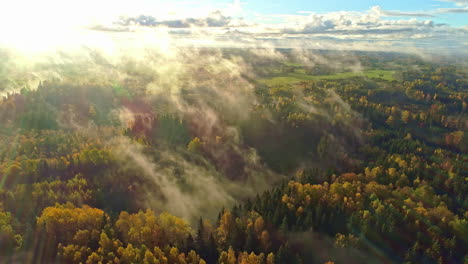 Aerial-view-of-colorful-autumn-forest-in-the-morning-haze,-vast-forested-landscape,-dolly-sideways-shot