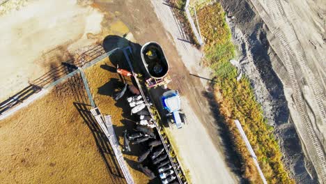 aerial-view-vertical-drone-shot-of-Farmer-feeding-cows-on-a-dairy-farm