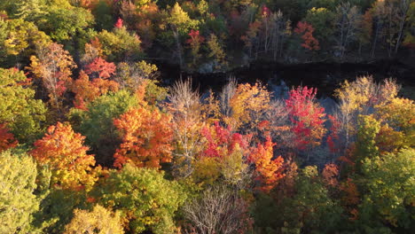 Colorful-Autumn-woodlands-With-Lake