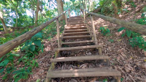 Subiendo-Escaleras-Rústicas-De-Madera-En-El-Bosque