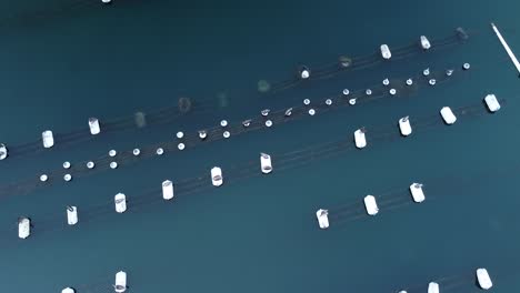 drone-view-over-oyster-farm-in-Carlsbad-lagoon