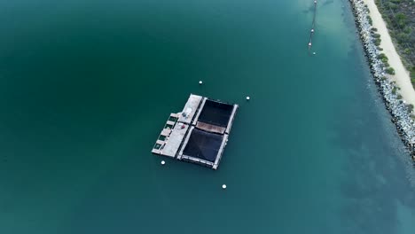 white-seabass-hatchery-carlsbad-lagoon-drone-view