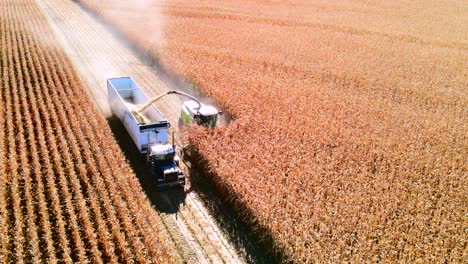 drone-flight-over-farm-vehicles-gathering-corn-during-harvest-season