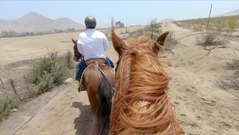 Male-Horse-Rider-guiding-the-way,-2nd-rider-POV-in-Chestnut-Horse