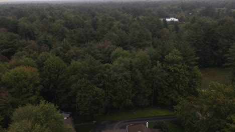 Aerial-drone-flight-close-to-treetops-over-Muskegon