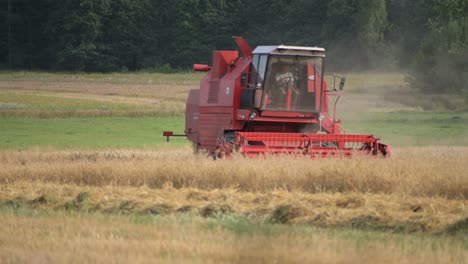 Rote-Traktorerntemaschine,-Die-Auf-Weizenfeldland-In-Einer-Biologischen-Biobauernhof-Auf-Dem-Land-Arbeitet