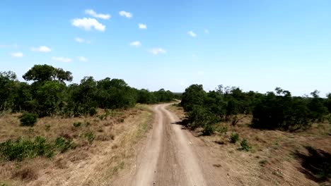 FPV-driving-on-dirt-road-in-OI-Pejeta-National-Park-in-Kenya,-African-Savanna