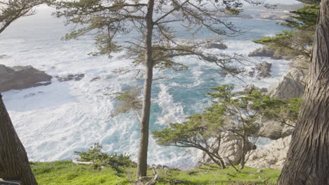 stationary-shot-from-high-above-through-mountainside-trees-at-Big-Sur-California-with-waves-crashing-in-the-background-of-the-Pacific-Ocean