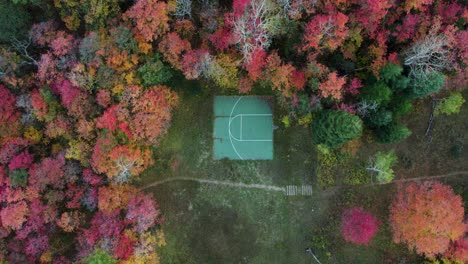Verlassener-Korb-Zwischen-Bäumen-In-Hellen-Herbstfarben