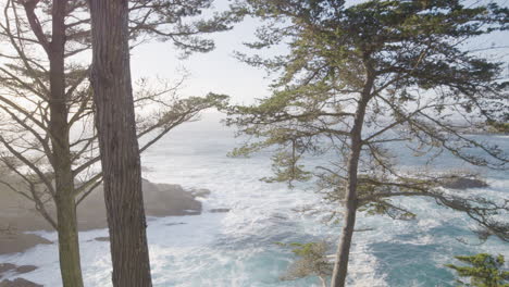 Panning-shot-of-trees-with-waves-rolling-through-the-Pacific-Ocean-in-the-background-located-in-Big-Sur-California-United-states