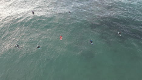 Aerial-drone-shot-tilting-up-to-reveal-a-group-of-surfers-waiting-to-catch-the-next-perfect-wave-as-the-sun-sets-in-the-distance-over-the-Cantabrian-Sea,-Suances,-Spain