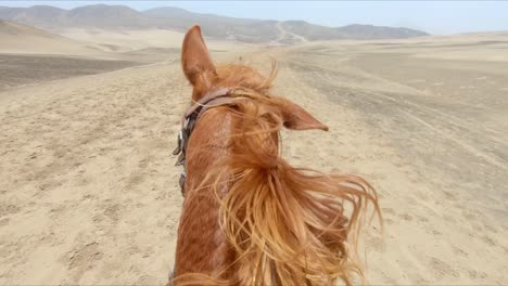 POV-Riding-Chestnut-Horse-following-dog-through-arid-sand-dunes