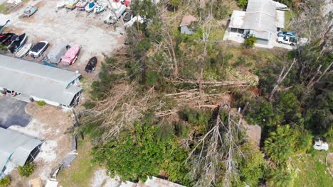4K-Drone-Video-of-Trees-Damaged-by-Hurricane-in-Englewood,-Florida---19